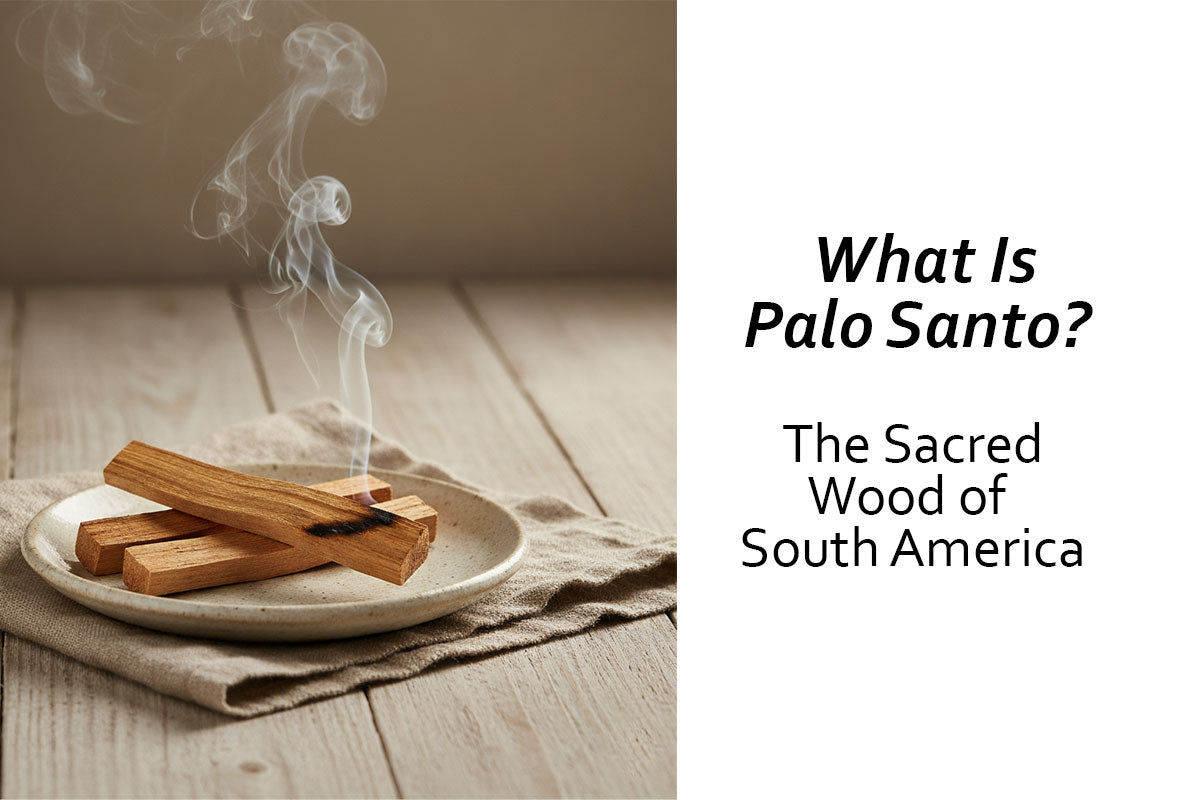 What Is Palo Santo and Why It’s Called the Sacred Wood of South America